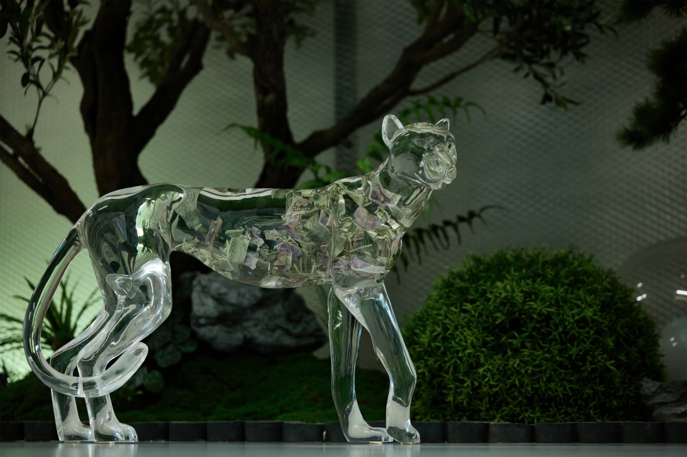 流晶 金钱豹  站立