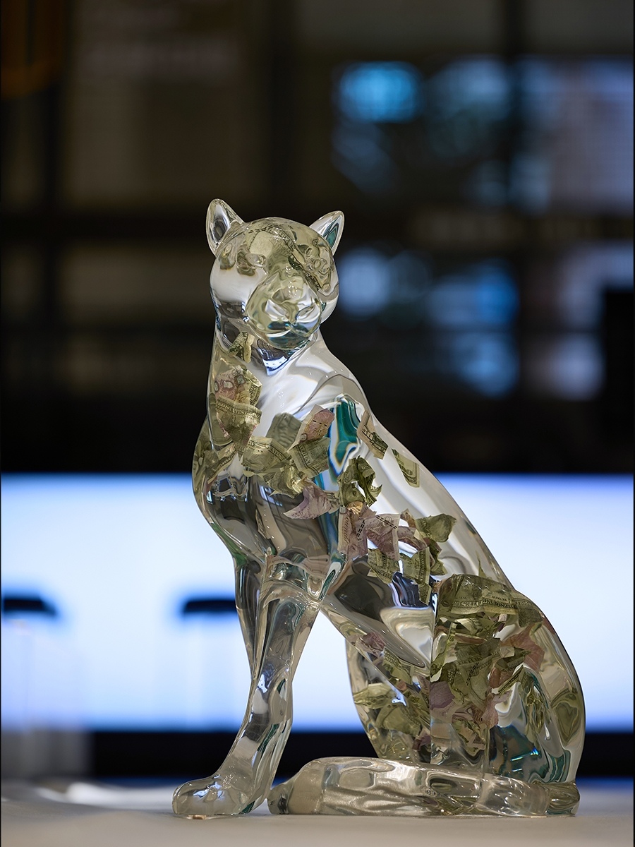流晶 金钱豹  蹲坐