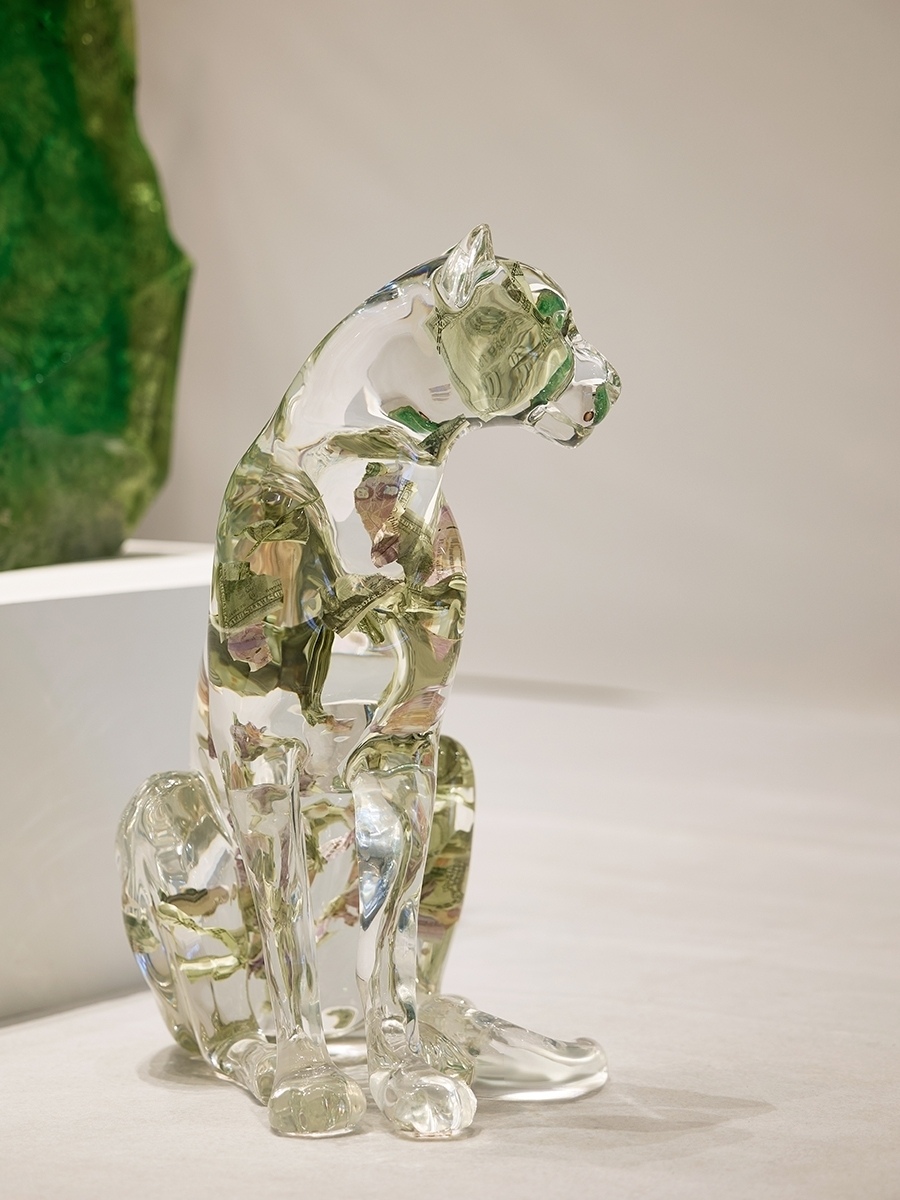流晶 金钱豹  蹲坐