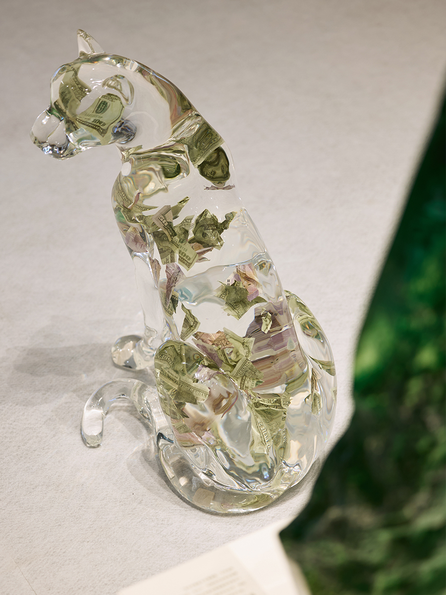 流晶 金钱豹  蹲坐