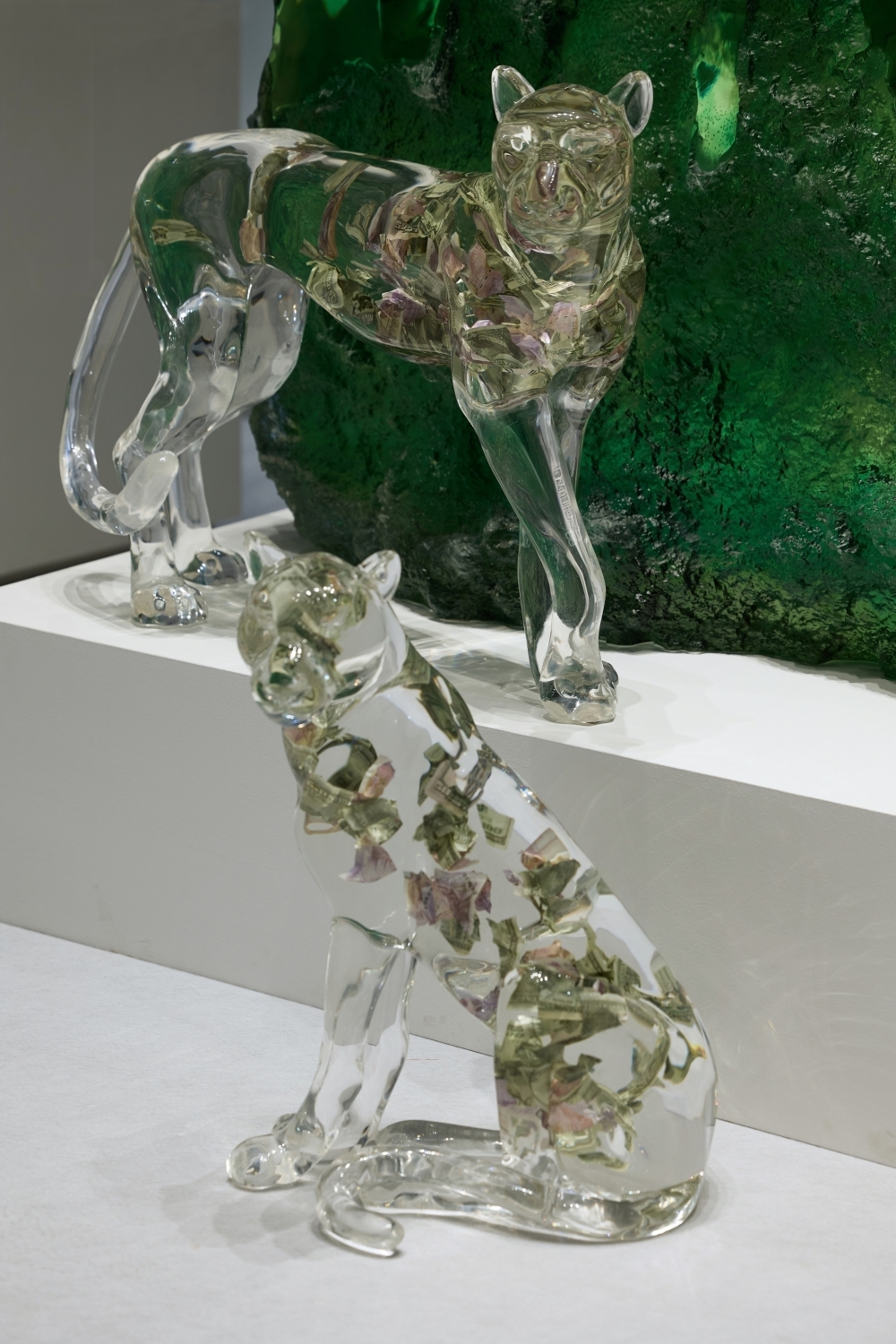 流晶 金钱豹  蹲坐